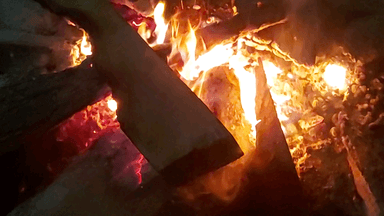 निःस्वार्थ भाव से आयोजित #बगला_ब्रह्मास्त्र महायज्ञ🔥 में मानसिक उपस्थिति के अर्जित पुण्य फल सुख-समृद्धिकारक सिद्ध हो 🚩