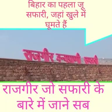 टिकट के दाम से लेकर #बुकिंग तक...सबकुछ जाने #राजगीर_जू_सफारी के बारे में, क्यों है बहुत खास
1 view · 8 minutes ago