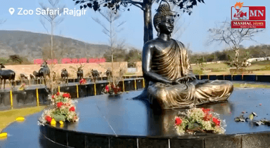 Bihar: Zoo Safari, Rajgir का दृश्य | Mashal News | Ayush Unnikrishnan
#MashalNews #Bihar #Rajgir #Zoo #ZooSafari