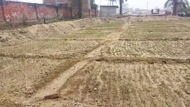 pyaj ki kheti varanashi Me
#banarashinduuniversity #banarash #kashi #kheti #kishan