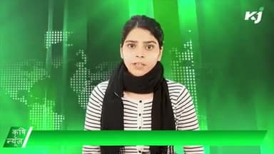 हरियाणा सरकार | अमरूद निर्यात | पशुपालक | हल्दी |
#KrishiNews #krishijagran #agriculturescheme #agriculturenews