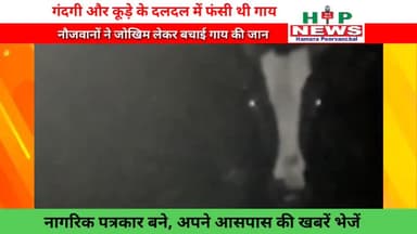 नौजवानों ने बचाई दलदल में फंसी गाय की जान। #hpnews @myogiadityanath @yogiadityanath #news