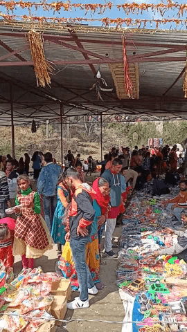 अल्मोड़ा: अल्मोड़ा#uk01#uttarkhand news#kosi #