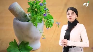 पत्थरचट्टा से होगा पथरी का रामबाण इलाज | Krishi Jagran
.
#agriculturelife #agrinews #agriculturescheme