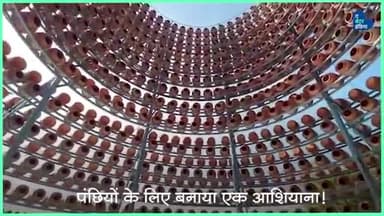 कुल 20 लाख रुपये खर्च कर पंछियों के लिए बनाया एक बंगला!
#BirdBunglow #Birds #Nest #Nature #initiative