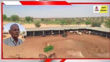 गौ सेवा का अनुठा प्रयास - गोविन्द गोपाल गौशाला खण्डवा ( चूरू) @News18Rajasthan #shankarjangir