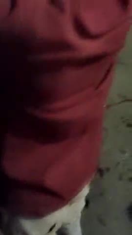 मैहर रोड ढिलौरा में दो बाइक की टक्कर जिसमे दोनो वाहन चालक गंभीर रूप से घायल हो गए #सतना#mp19#breking_news