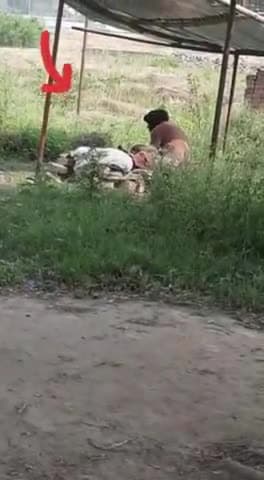 मानव_सेवा_ही_जीवन_है,🙏
अगर आपको ऐसे असहाय व्यक्ति कही रोड
के किनारे दिखे तो जरूर मदद करे🙏
#help_एक_कोशिश #kuchaikote