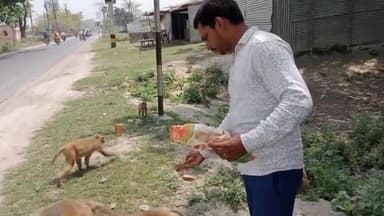 कर्म करो फल मिलेगा
#भोरे #हुसेपुर