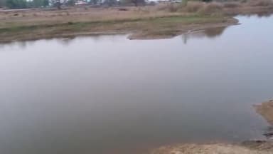 गिद्धौर: भीषण गर्मी के कारण तेजी से सुख रहें हैं जलाशय जिससे लोगों की चिंता बढ़ी #waterfall #newsodisha24 s@santoshyadav. @suraj