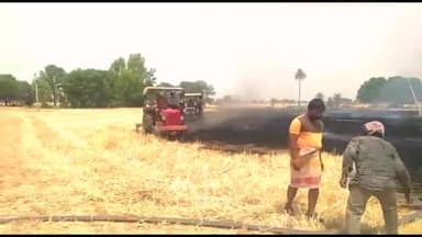 शार्ट सर्किट से गेंहू की नरवाई में लगी आग। वीडियो आया सामने। #Fire #khetibaadi #issue #farming #खेतीबाड़ी