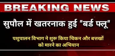 सुपौल जिले में #बर्ड_फ्लू ने बड़ी #दस्तक दी है. जिले के सदर थाना क्षेत्र के #छपकाही गांव के कुछ वार्डों से ली गई!