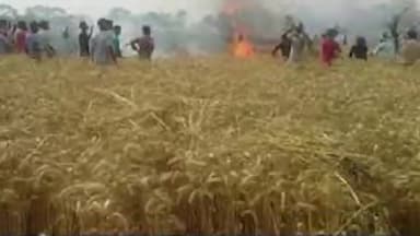 किसान का अनोखा पशुप्रेम, गर्मी से परेशान भैंसों के लिए तबेले में लगवाया Shower
#russiaukrainewar #shower #buffaloes