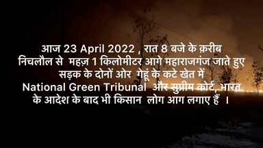 #environment #पराली_जलाने की #समस्या #महाराजगंज #जिला #उतरप्रदेश #NGTribunal #ngtindia #polution #smoke