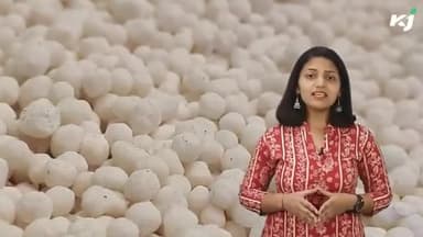 Fertilizer Updates: DAP and Urea की असली परख | Original and Duplicate खाद |
#Urea #fertilizers #DAP