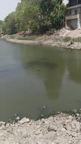 पाली: जल ही जीवन है🙏🙏 #pali #marwar #jalhijiwanhai #palinews #rajasthan #marwadi #humanity #garmi #fish #life@