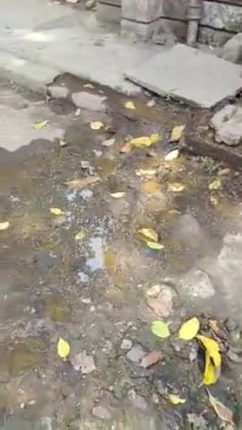 लखीमपुर: ये लखीमपुर सरकारी अस्पताल की दशा है इसकी तरफ भी ध्यान दिया जाये ताकि किसी को भी परेशानी का सामना ना करना पड़े #dmkheri