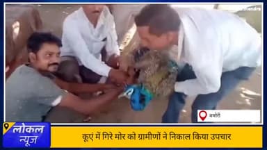 कुएं में गिरा राष्ट्रीय पक्षी को ग्रामीणों ने 2 घंटे की मशक्कत से निकाला। #Nationalbird #राष्ट्रीयपक्षी #मोर #peacock