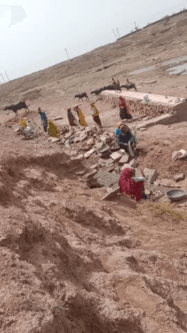 मण्डरायल: ग्राम पंचायत भांकरी मै नरेगा का काम करते हुए
#भांकरी