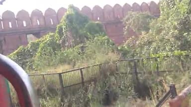 red fort दिल्ली का लाल किला
#red fort