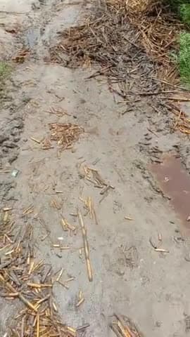 😭😭बहुत दुखद ये तस्वीर हैं। Please share & support #granin#pharhi #road #sarak #narpatganj #news #villagenews