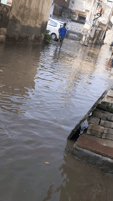 कादीपुर: #sec104gurgaon@
#suratnagar1
#parshatrajendrapark
#parsadyogender
#निगम_चुनाव #nagarnigamgurgaon@