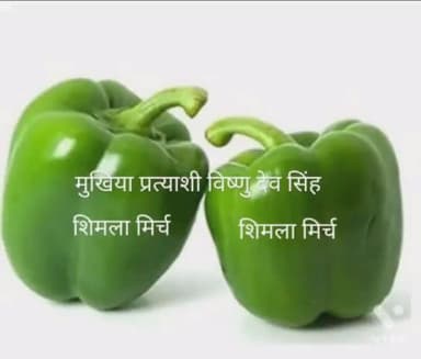 #गुरहा_कला #पंचायत के #मुखिया प्रत्याशी विष्णुदेव सिंह का तूफानी दौरा।
#palamu #election #jharkhand