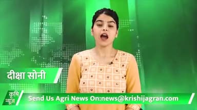 Edible Oil : तेल उत्पादकों के लिए खुशखबरी , सरसों का तेल 40 रुपये हुआ सस्ता
#Petrol #Diesel #EdibleOil