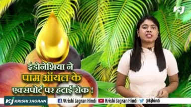 India : भारत में किस तेल के आयात से होता है करोड़ों का मुनाफा !
#Indonesia #EdibleOil #Export