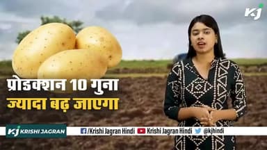 Aeroponic Method : बिना मिट्टी और ज़मीन के इस तकनीक से उगाए आलू
#PotatoFarming #AeroponicMethod