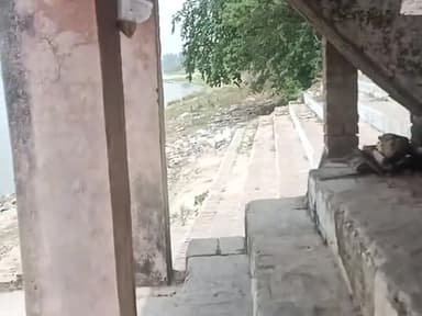 गोकना घाट देखे कैसा यहां पर होता है अंतिम संस्कार #रायबरेली #गोकनाघाट #श्मशानघाट #गंगागाघाट #raebarelivlogger