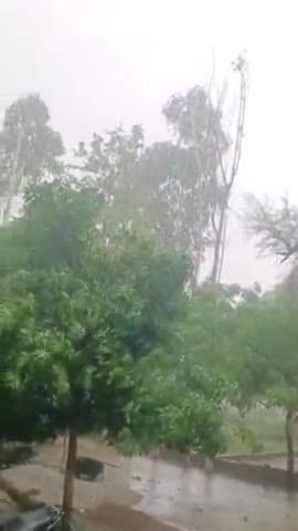 कैंपियरगंज: आज गोरखपुर मंडल में पहला बारिश और तूफान के साथ
#कैंपियरगंज
