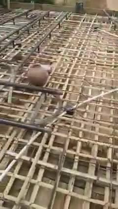 *मकान के छत में लोहे की जगह बांस का प्रयोग... 100 साल की गारंटी* @timesnow  @itssunilbhati #vairal #bluetick