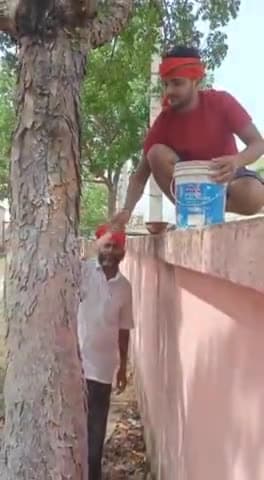 पर्यावरण दिवस के अवसर पर बिहारी स्थित मध्य विद्यालय में पूर्व से लगे पेड़ों पर श्रमदान किया
#jamui #bihari24