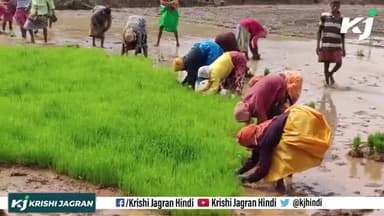 Net House Farming : जानिए कैसे होती है नेट हॉउस खेती से पानी और समय की बचत !
#PolyHouse #Benefit #nethousefarming
