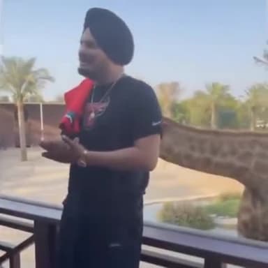 साडा #sidhumoosewala बाई एनिमल लवर भी सी , सदके तेरे जट्टा ।।।।
दबई दे शेख नाल बाई दी शानदार वीडियो ।।।।