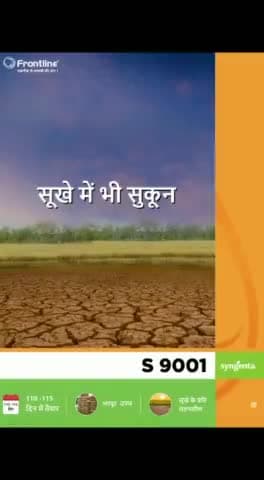 ऊपरी जमीन में वर्षा आधारित खेती के लिए सर्वोत्तम धान फ्रंटलाइन एस 9001#kisano#monsoon #livenews
