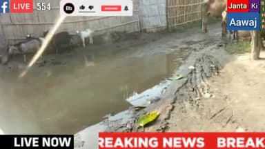 बेलदौर: बोबिल फुलवरिया तेलयारी वार्ड नं 11 में रोड रहते हुए भी कीचड़ में चलने को मजबूर है पब्लिक।। #BreakingNews #jantakiaawaj