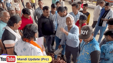 उज्जैन शहर: उज्जैन मंडी प्याज़ का भाव । #ujjain #ujjainmandibhav