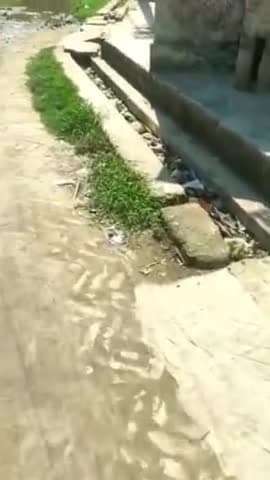 #बांक भवानी ग्राम पंचायत मे नाली का गंदा पानी खडंजो पर फैलने ग्रामीण परेशान