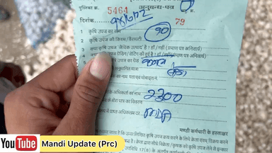 उज्जैन शहर: उज्जैन मंडी लहसून का भाव । #news #ujjain #prince