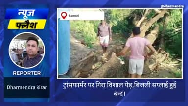 ट्रांसफार्मर पर गिरा विशाल पेड़, #बिजली सप्लाइ हुई बाधित।#समस्या #विद्युत #विभाग #आमजन #snju #लोकल #पब्लिक #public #local