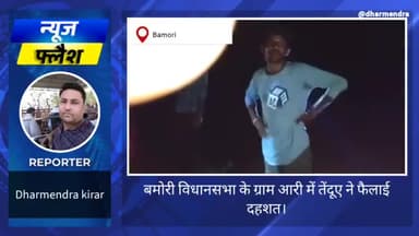 ग्राम आरी में फैली खूंखार तेंदुए की दहशत। #दहशत #खूंखार #जंगली #जंगल #जानवर #गाय #डर #खोफ #भय #ग्रामीण #snju #वन #अमला