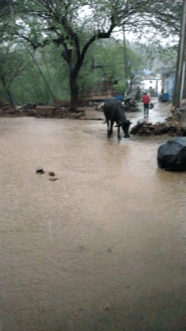 लक्ष्मणगढ़: #laxmangarh alwar rajasthan me jordar baarish @mansoon#laxmangarh