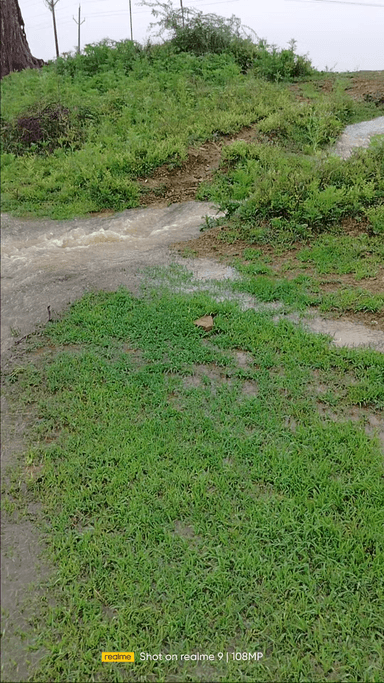 शिवपुरी: gram Dholagarh me bhari bharish
#heavyrain #first rain#