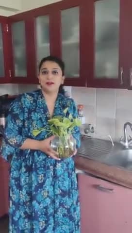10 हफ्ते 10 बजे 10 मिनट
डेंगू पर वार हर रविवार
#dengue #season #rains #clean #water