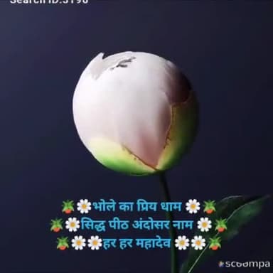 #NEWS भोले का प्रिय धाम, सिद्ध पीठ अंदोसर नाम, #चलो_अंदोसर #हर_हर_महादेव #सनातन_धर्म #कांवड़_यात्रा2022