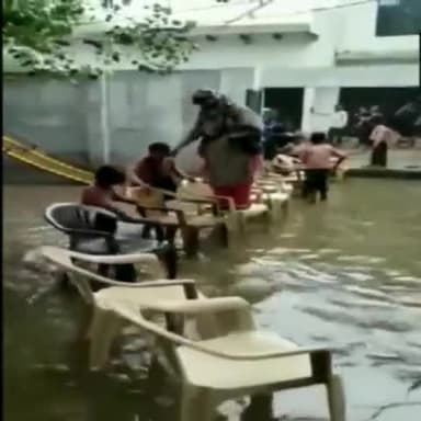#UP: जलभराव को पार करने अध्यापिका ने बनवाया छात्राओं से कुर्सियों का पुल, टीचर सस्पेंड
#Teacher #teacherstudent #suspend