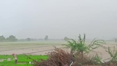 #बारिश#तूफान#सूरतगढ़#रामपुरा
रामपुरा (36stg) में तेज़ बारिश