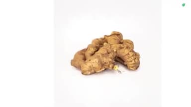 Benefits of Ginger Milk in Monsoon For Cough, Cold and Immunity Booster
#GingerMilk #ImmunityBooster #Ginger